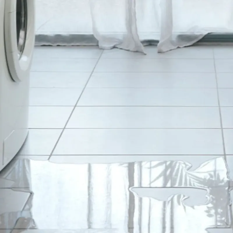 Appliance Leak Cleanup in Newport, NH