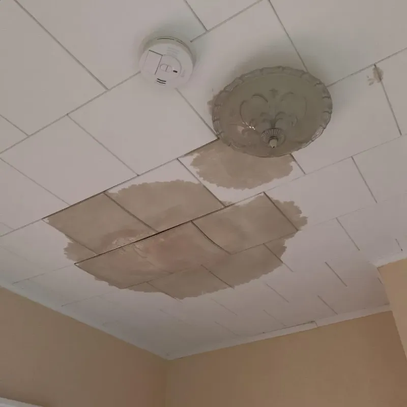 Ceiling Water Damage Repair in Newport, NH