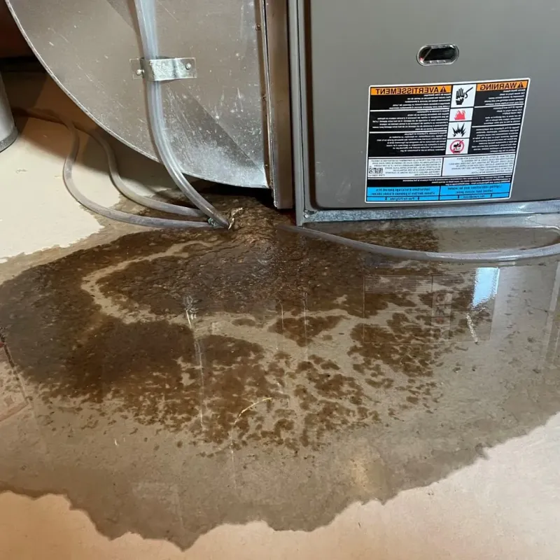 Pipe Burst and Leak Restoration in Newport, NH